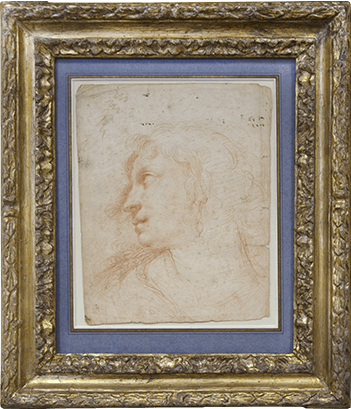 Study of a female head seen in profile, wearing a pearl earring